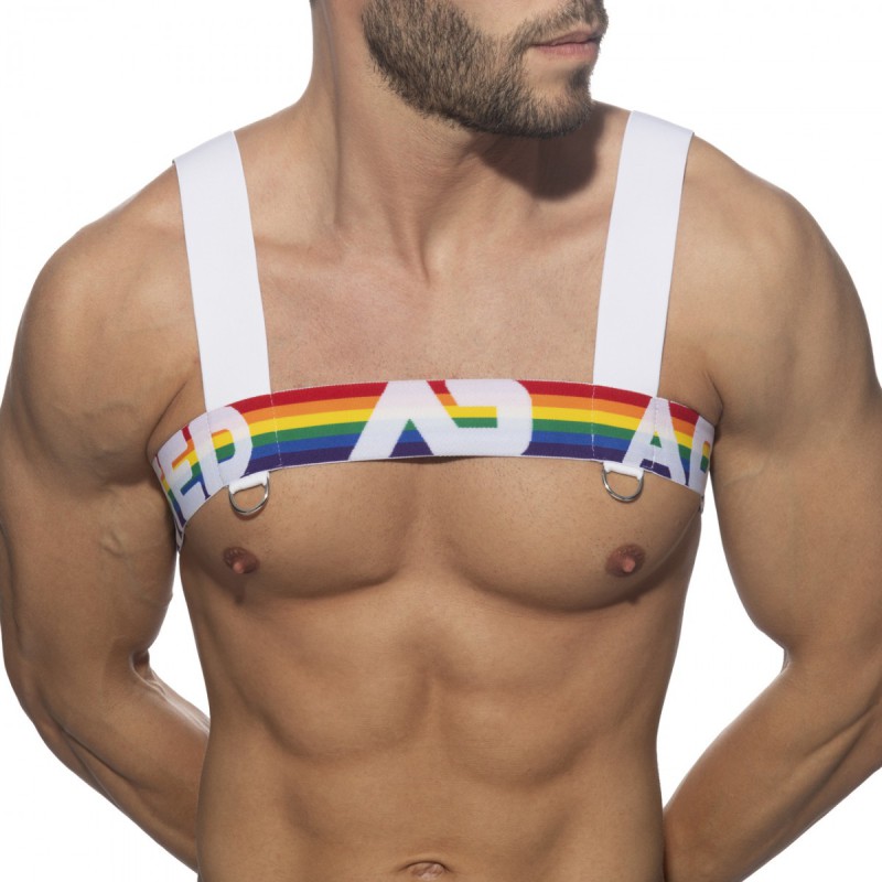 Addicted Rainbow Harness white