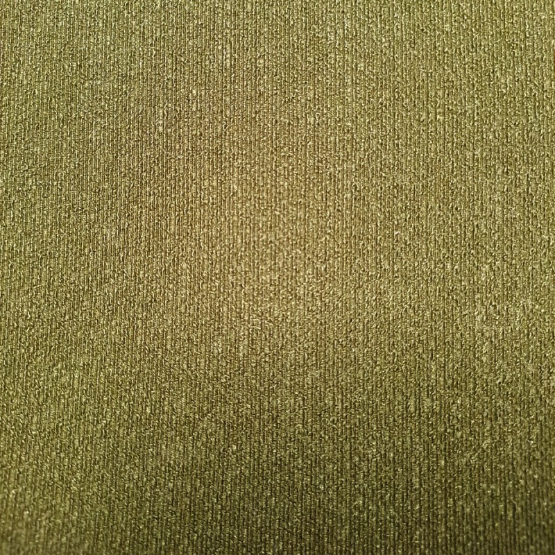 Addicted Pique Speedo kaki