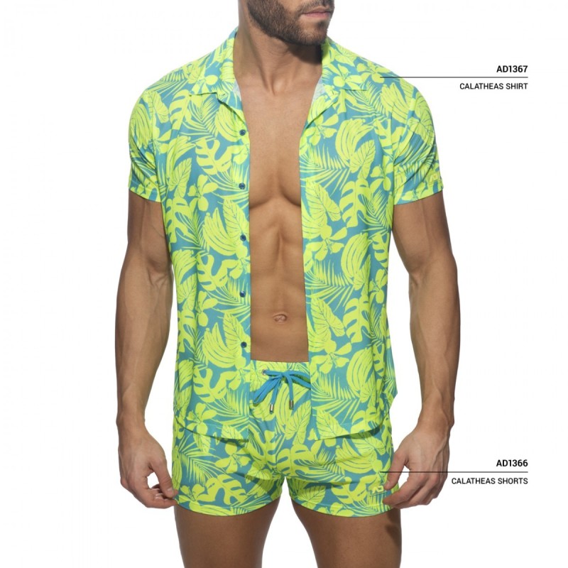 Addicted Calatheas shirt