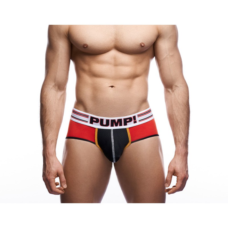 PUMP Circuit Brief